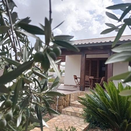 Villa Dei Colori كوستوناتشي المظهر الخارجي الصورة